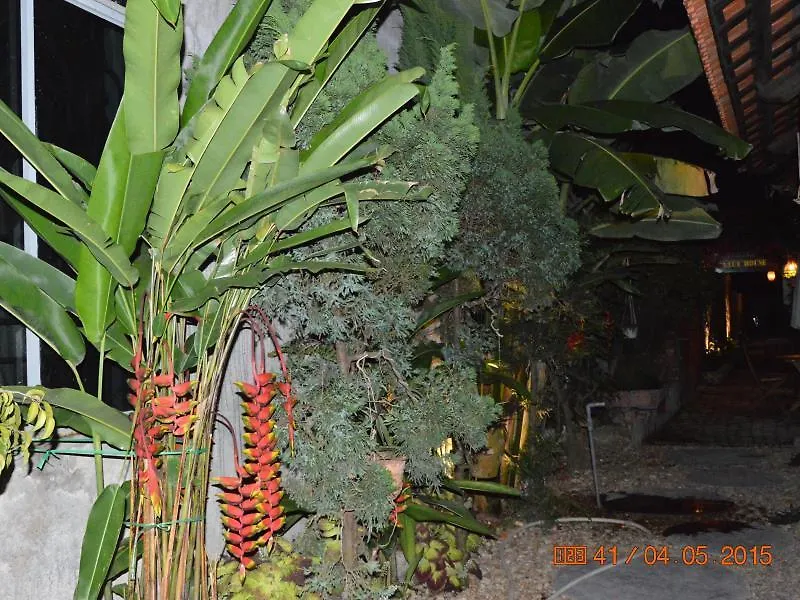 313 Cua Dai - Viet House Homestay هوي ان فيتنام