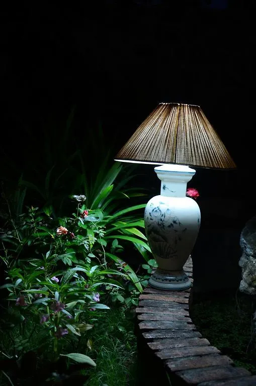 313 Cua Dai - Viet House Homestay هوي ان